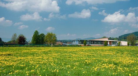 Vitalhotel Quellengarten - Quellengarten im Frühsommer