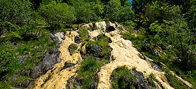 Vitalhotel Quellengarten - Quelltuff