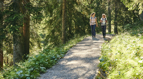 Wandern zwischen Bergstation Mellaubahn und Alpe Kanis (c) Alex Kaiser - Bregenzerwald Tourismus (4)