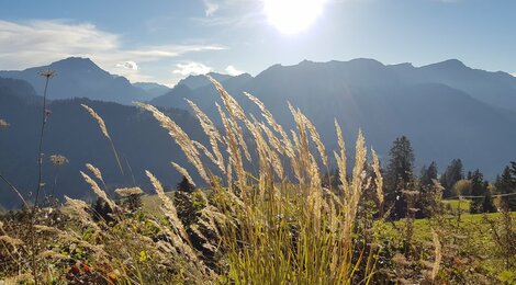 Landschaft in Sibratsgfäll (c) Bettina Scherrer - Sibratsgfäll Tourismus [Webqualität]