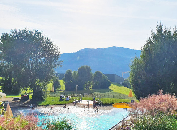 QG_Gartenpool_Sommer