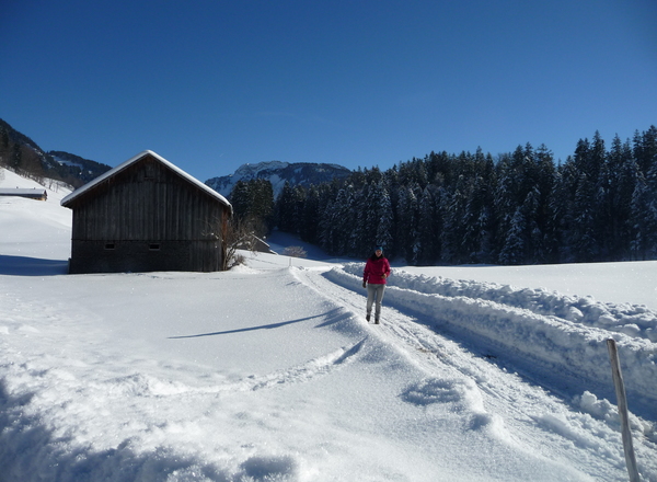 Winterwanderung